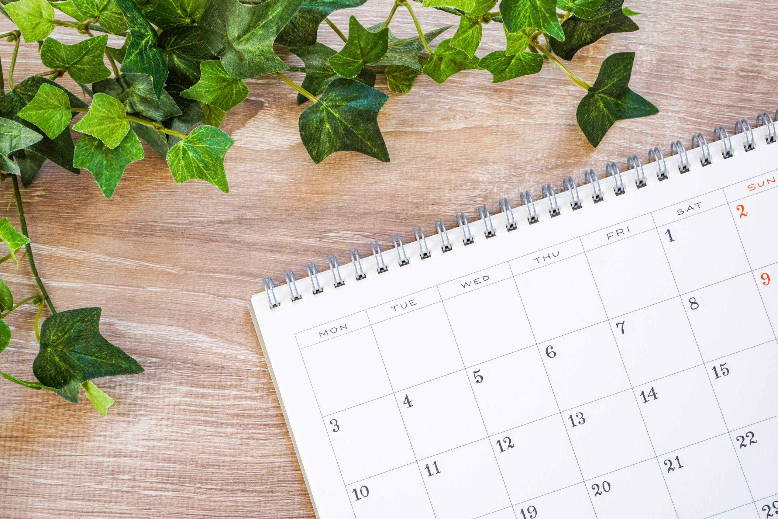 皮膚科の開業を成功させるための準備手順